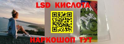 Альфа ПВП Краснознаменск