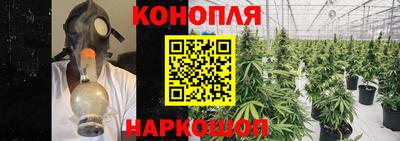 Альфа ПВП Краснознаменск