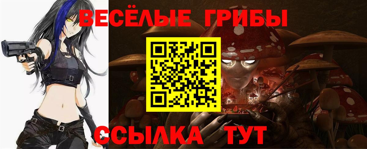 Галлюциногенные грибы Psilocybine cubensis Шебекино